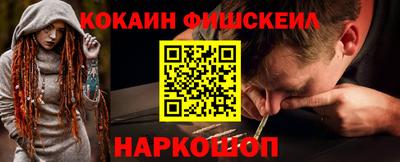 a pvp Новозыбков