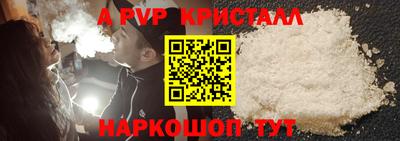 a pvp Новозыбков