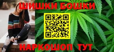a pvp Новозыбков