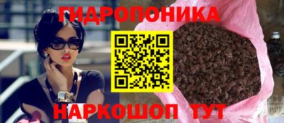 a pvp Новозыбков