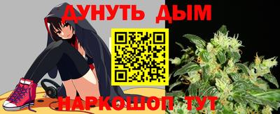 альфа пвп Новодвинск