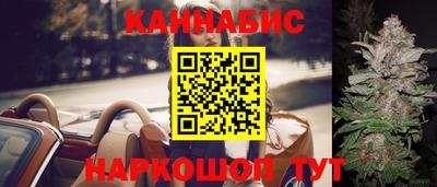 a pvp Новозыбков