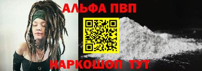 a pvp Новозыбков