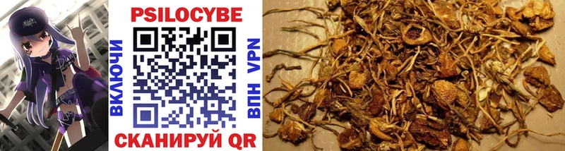 как найти закладки  Первоуральск  гидра tor  Галлюциногенные грибы GOLDEN TEACHER 